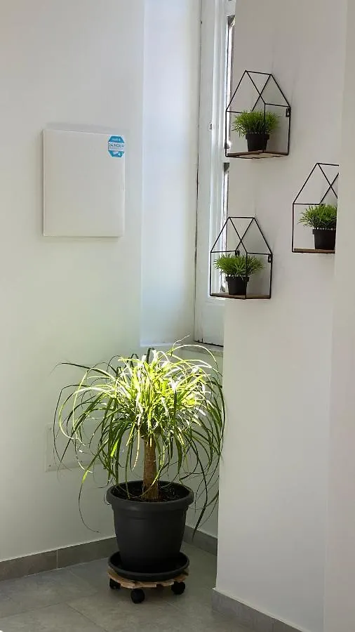 The Roof Garden - Bed&Breakfast Frattamaggiore Bed & Breakfast